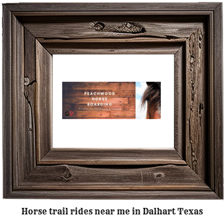 horse trail rides near me in Dalhart, Texas